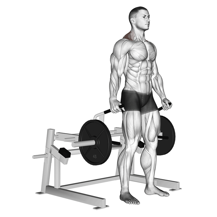 Demonstration of the lever shrug