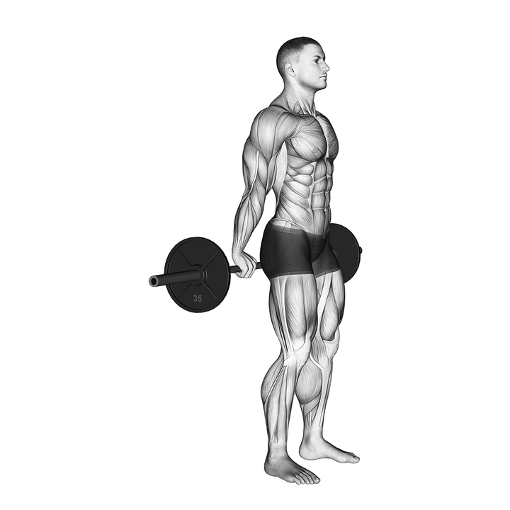 Demonstration of the barbell standing back wrist curl