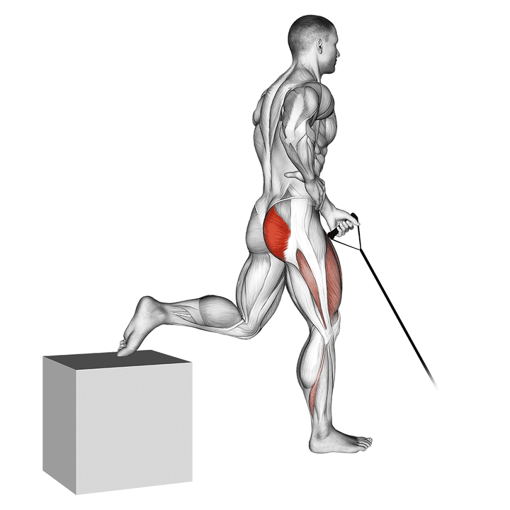 Demonstration of the band one arm single leg split squat