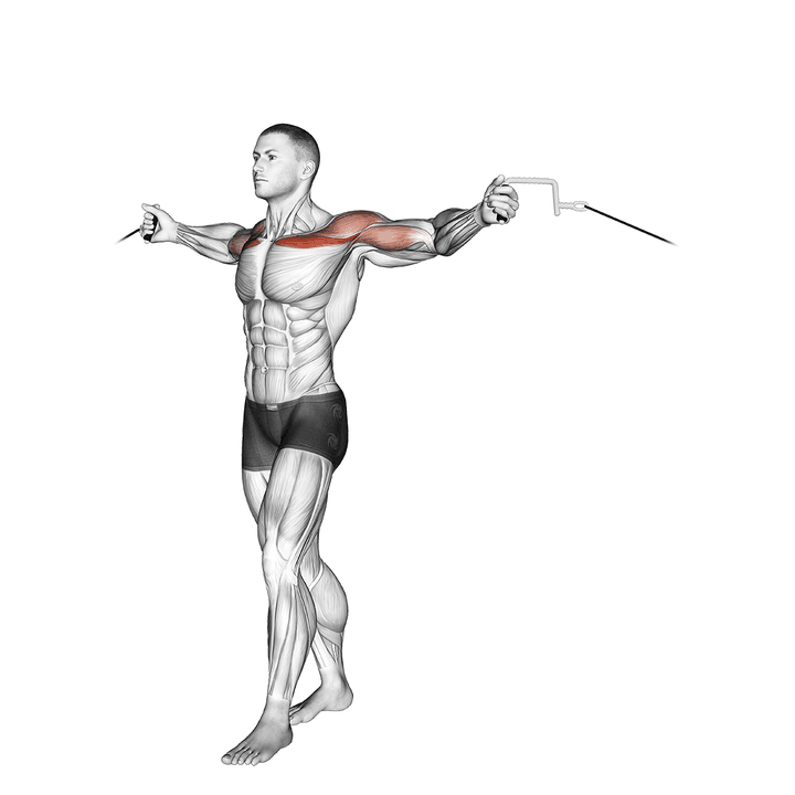 Demonstration of the cable upper chest crossovers
