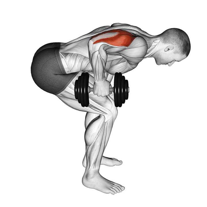 Demonstration of the dumbbell standing bent over one arm triceps extension