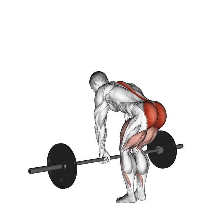 Demonstration of the barbell romanian deadlift