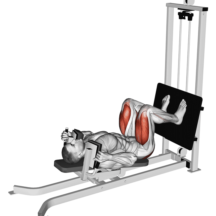 Demonstration of the sled lying squat