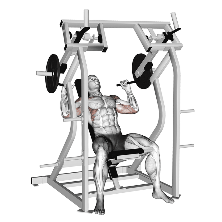 Demonstration of the lever shoulder press