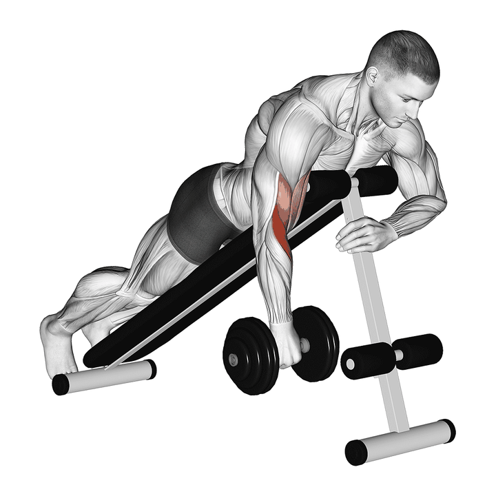 Demonstration of the dumbbell one arm reverse spider curl