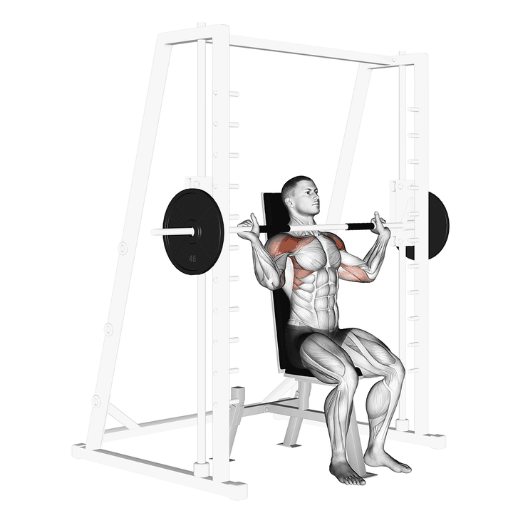 Demonstration of the smith shoulder press