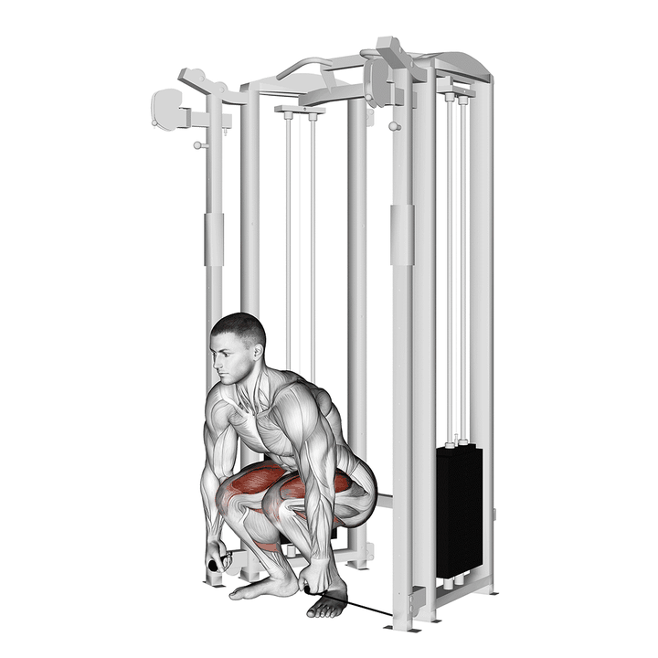 Demonstration of the cable deadlift