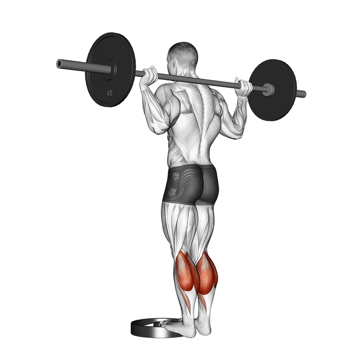 Demonstration of the standing barbell calf raise