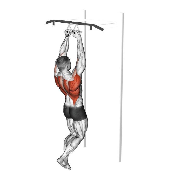 Demonstration of the chin-ups (narrow parallel grip)
