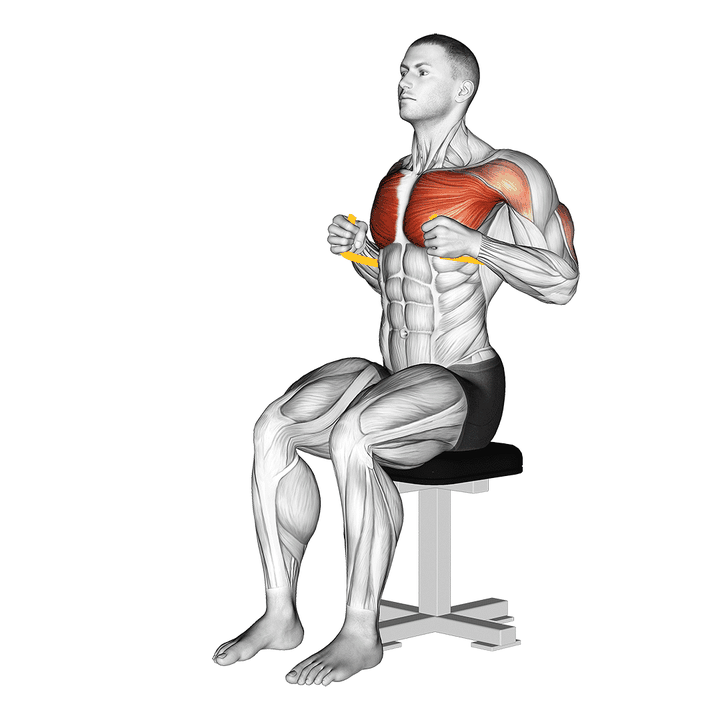 Demonstration of the resistance band seated chest press