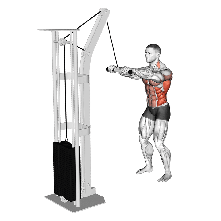 Demonstration of the cable thibaudeau kayak row