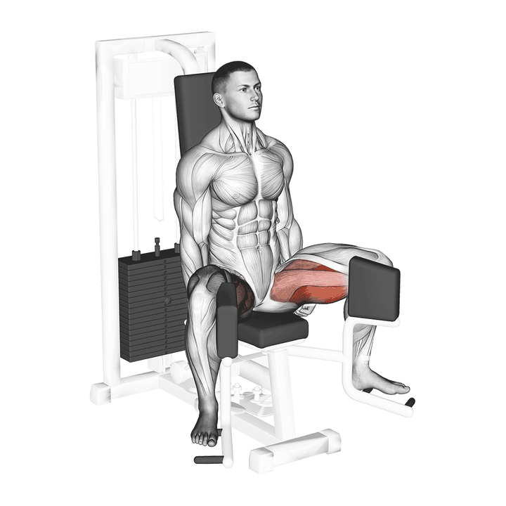 Demonstration of the lever seated hip adduction