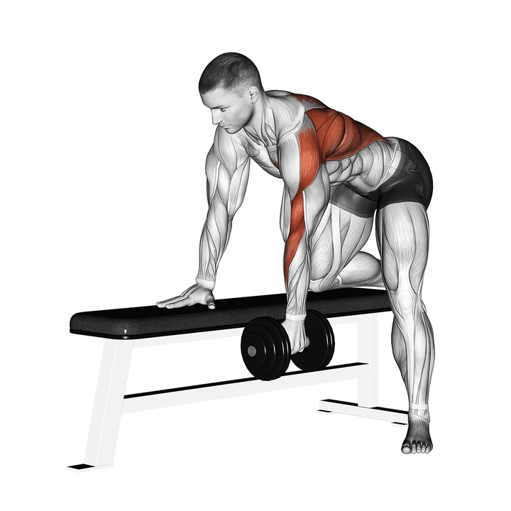 Demonstration of the dumbbell one arm bent-over row