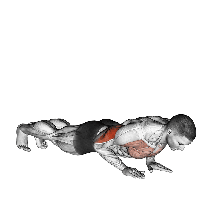 Demonstration of the close-grip push-up contracted