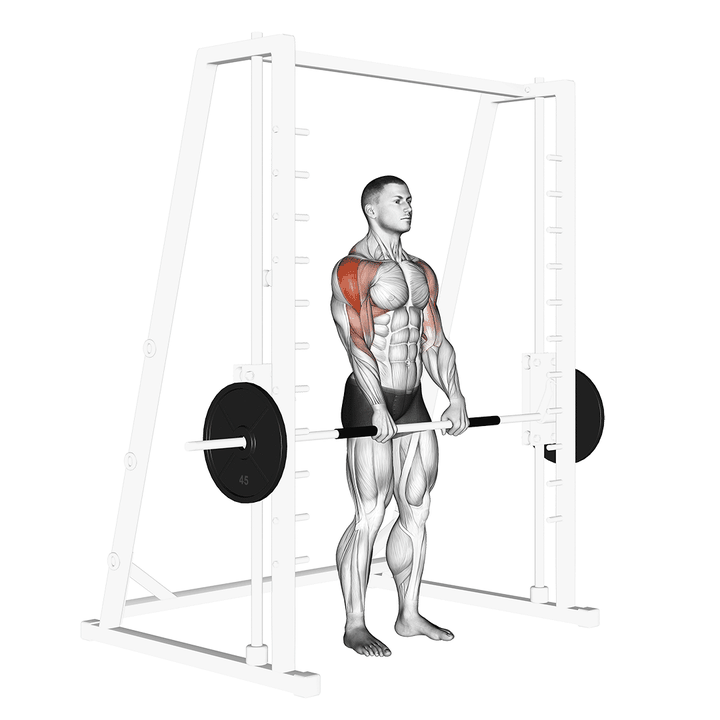 Demonstration of the full style smith upright row