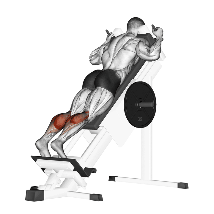 Demonstration of the sled forward angled calf raise