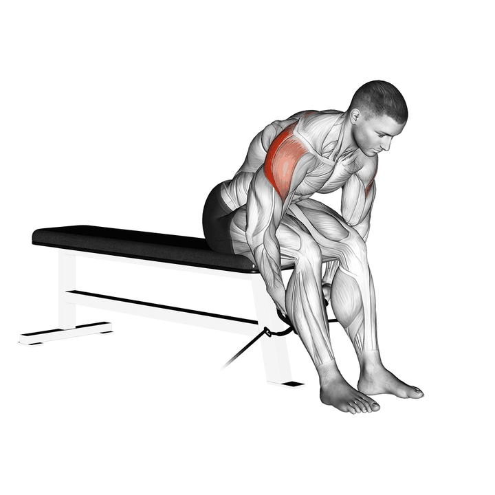 Demonstration of the cable seated rear lateral raise