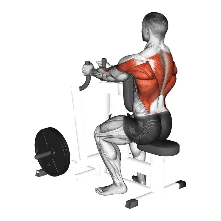 Demonstration of the lever narrow grip seated row