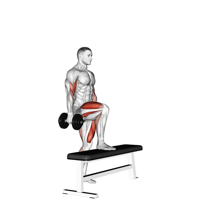 Demonstration of the dumbbell step up single leg balance with bicep curl
