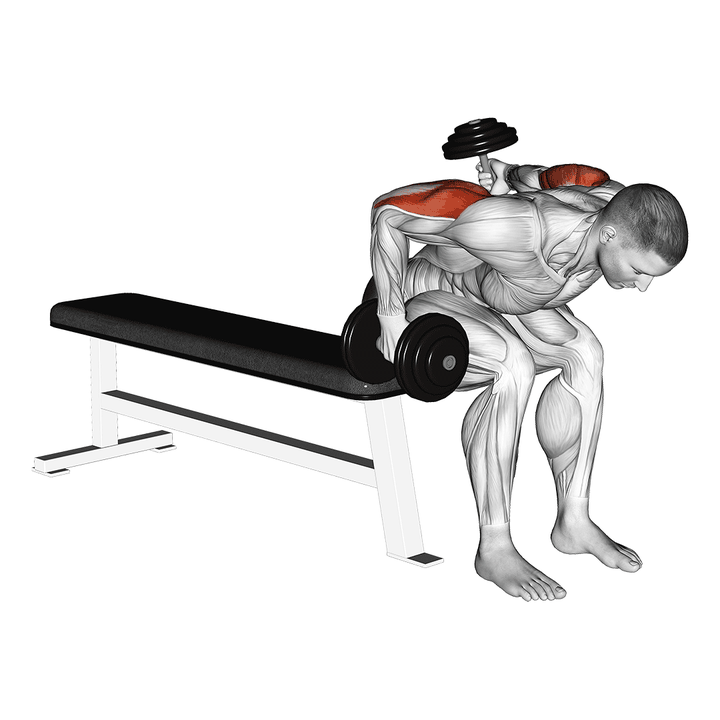 Demonstration of the dumbbell seated bent over alternate kickback