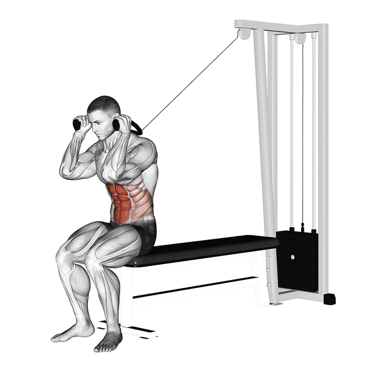 Demonstration of the cable seated crunch