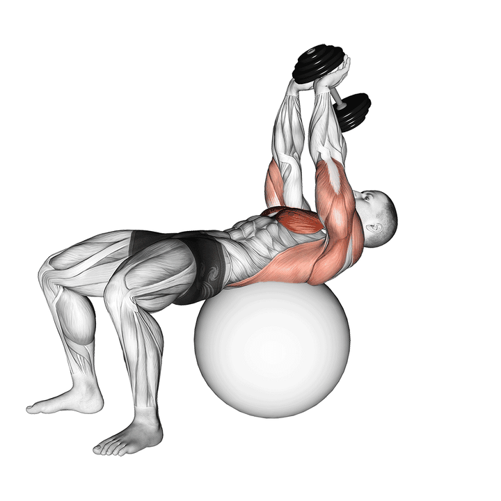 Demonstration of the dumbbell lying pullover on exercise ball - smooth variation