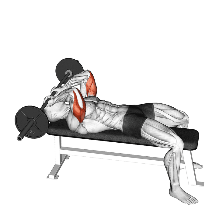Demonstration of the barbell lying triceps extension skull crusher