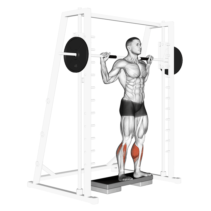 Demonstration of the smith reverse calf raises