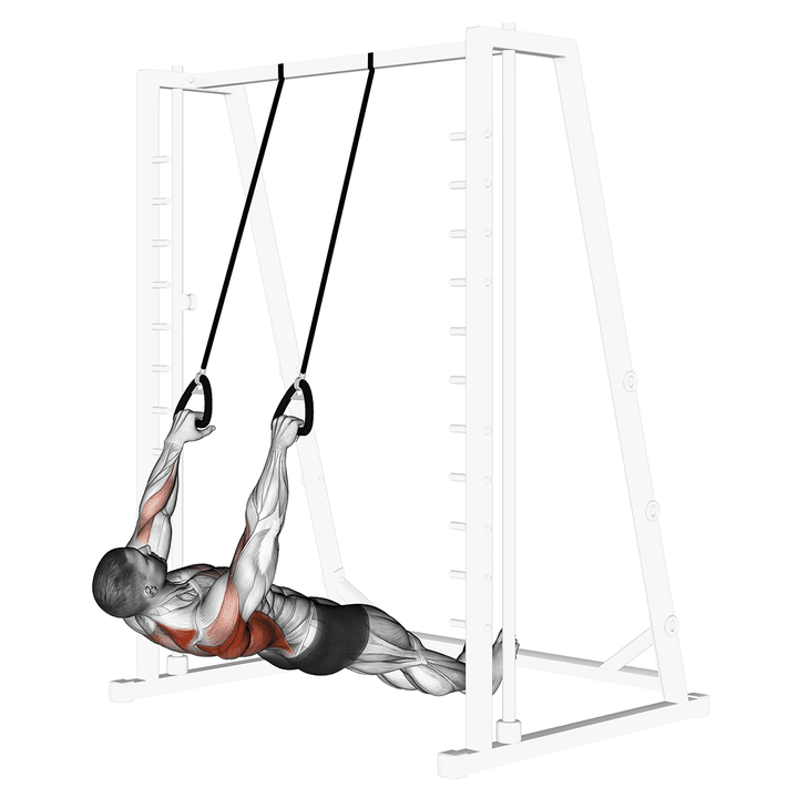 Demonstration of the inverted row with straps