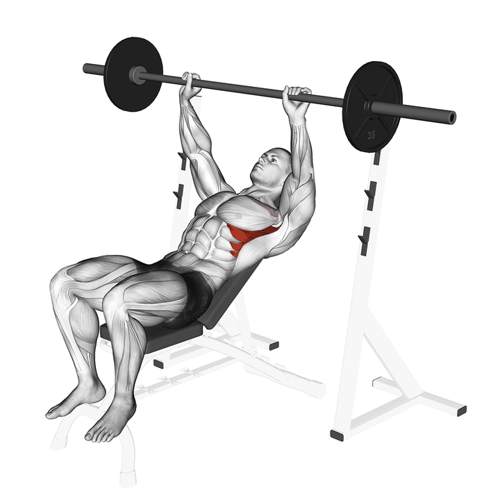Demonstration of the barbell incline shoulder raise