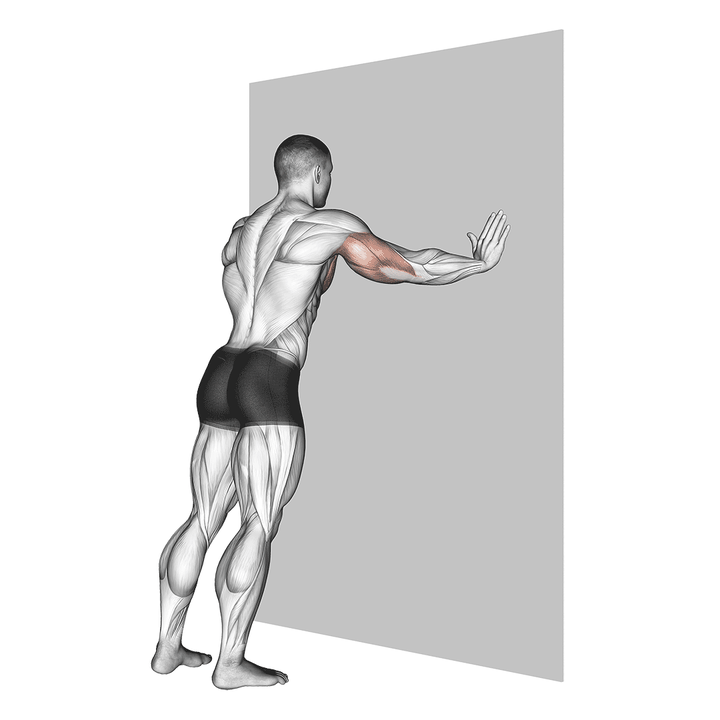 Demonstration of the push-up (wall)