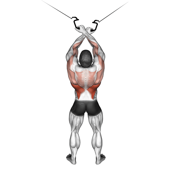 Demonstration of the cable cross-over lateral pulldown