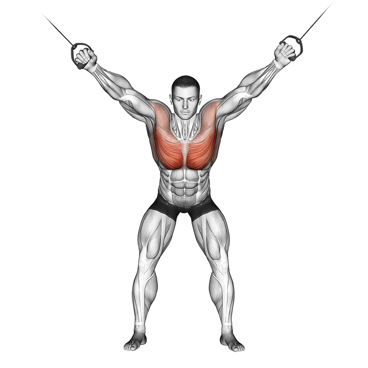 Demonstration of the cable standing fly
