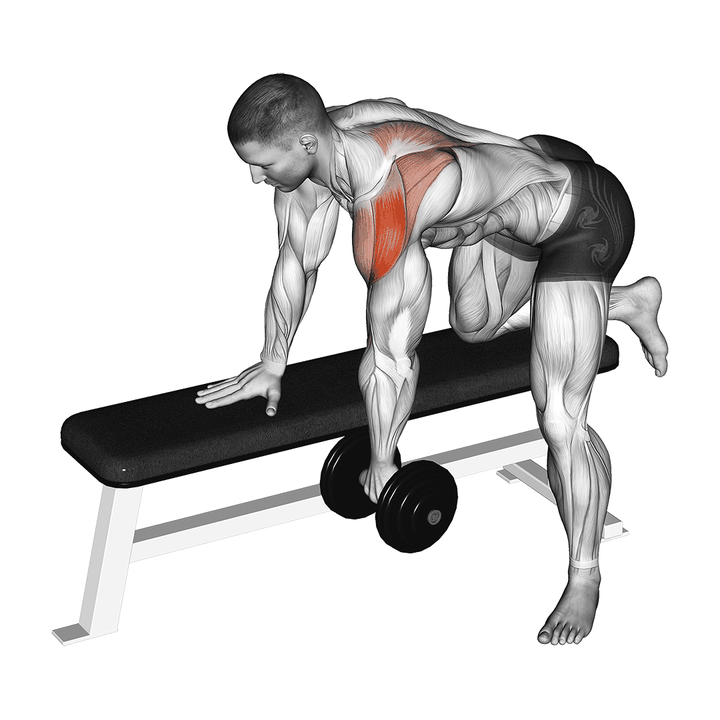 Demonstration of the dumbbell rear delt row (shoulder)