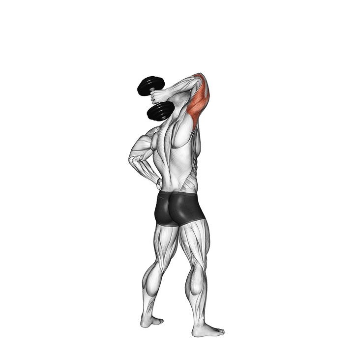 Demonstration of the dumbbell standing one arm extension