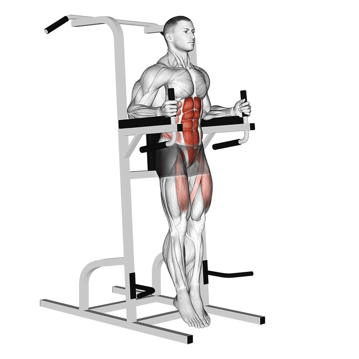 Demonstration of the captains chair straight leg raise