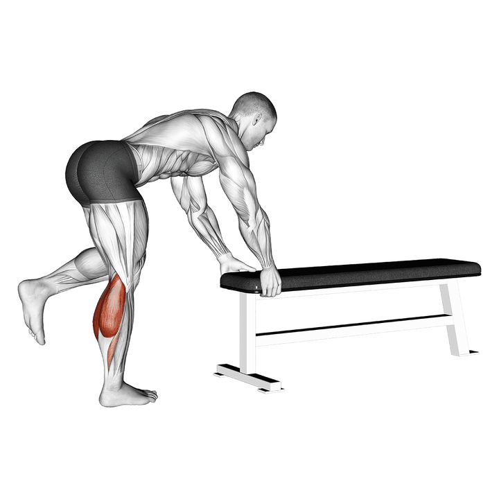 Demonstration of the one leg donkey calf raise
