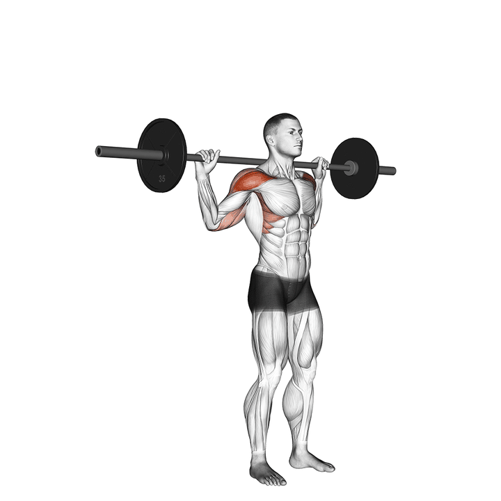 Demonstration of the standing behind neck press