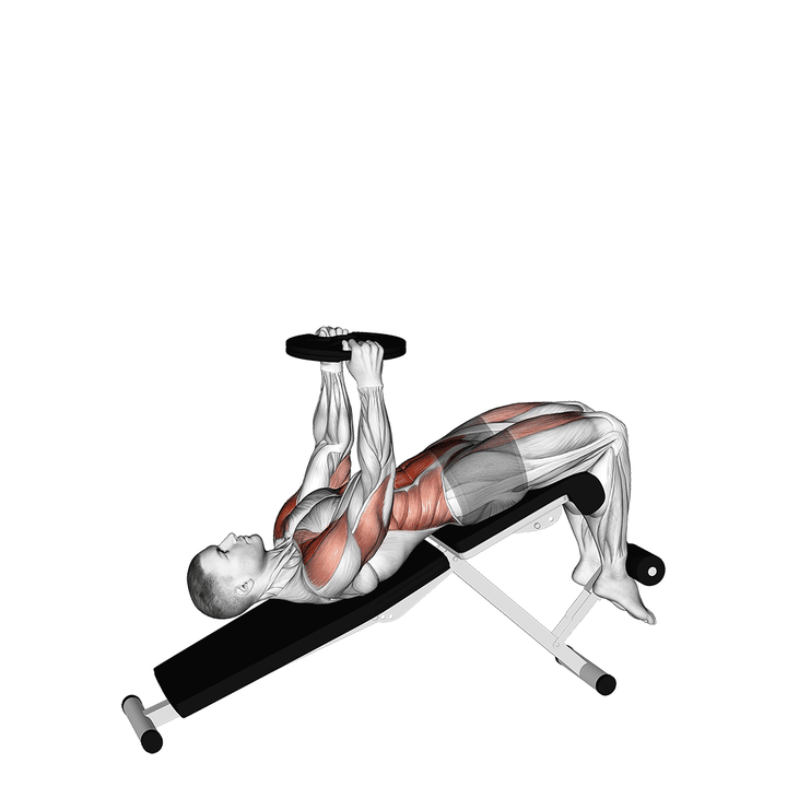 Demonstration of the weighted decline sit-up