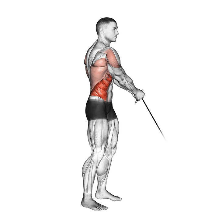 Demonstration of the cable standing lift - enhanced variation