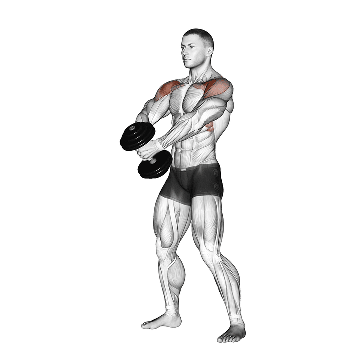 Demonstration of the dumbbell front raise
