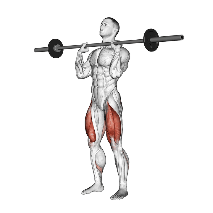 Demonstration of the barbell front chest squat