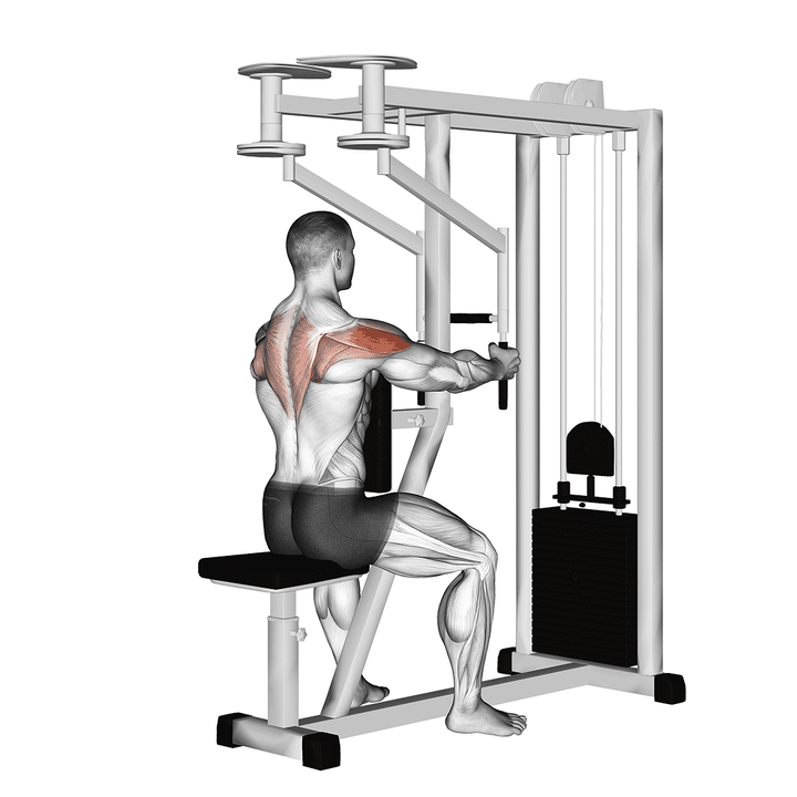 Demonstration of the lever seated reverse fly (parallel grip)