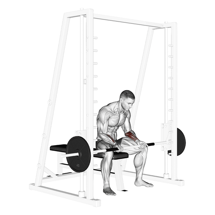 Demonstration of the smith seated wrist curl