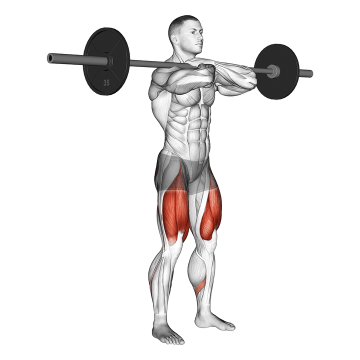 Demonstration of the barbell front squat