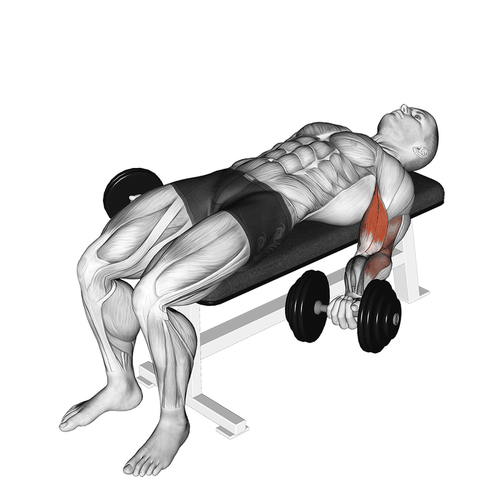 Demonstration of the dumbbell lying supine biceps curl
