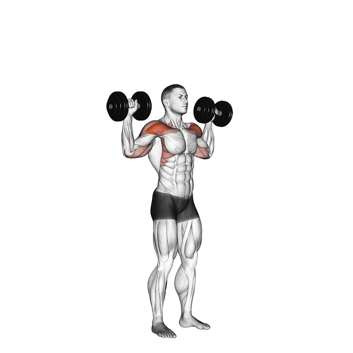 Demonstration of the standing dumbbell overhead press