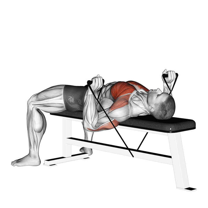 Demonstration of the vertical style band bench press