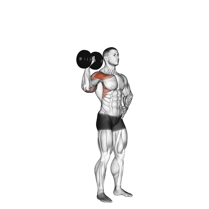 Demonstration of the dumbbell one arm shoulder press
