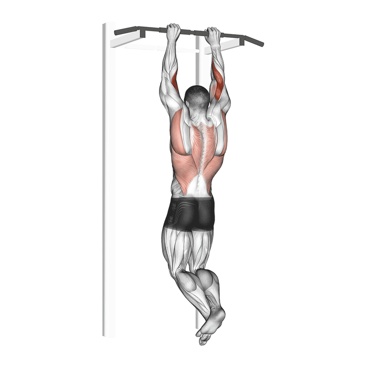 Demonstration of the biceps pull-up